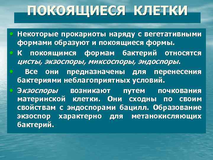 Покоящиеся формы микроорганизмов