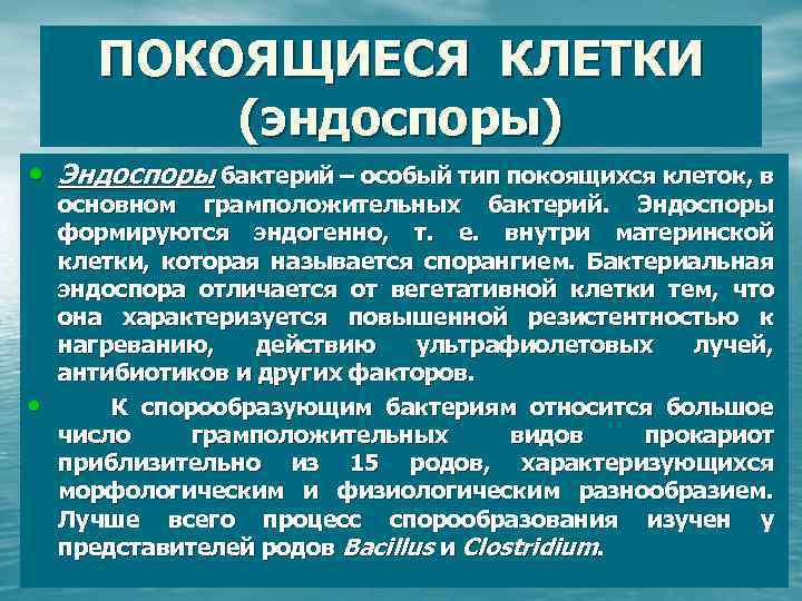 ПОКОЯЩИЕСЯ КЛЕТКИ (эндоспоры) • Эндоспоры бактерий – особый тип покоящихся клеток, в • основном