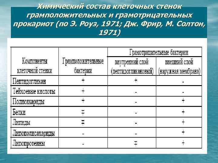 Химический состав клеточных стенок грамположительных и грамотрицательных прокариот (по Э. Роуз, 1971; Дж. Фрир,
