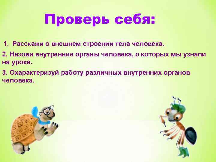 Проверь себя: 1. Расскажи о внешнем строении тела человека. 2. Назови внутренние органы человека,