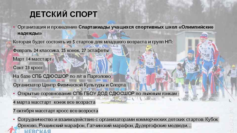 План развития спортивной школы