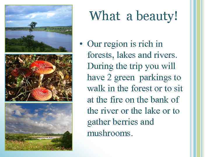 What a beauty! • Our region is rich in forests, lakes and rivers. During