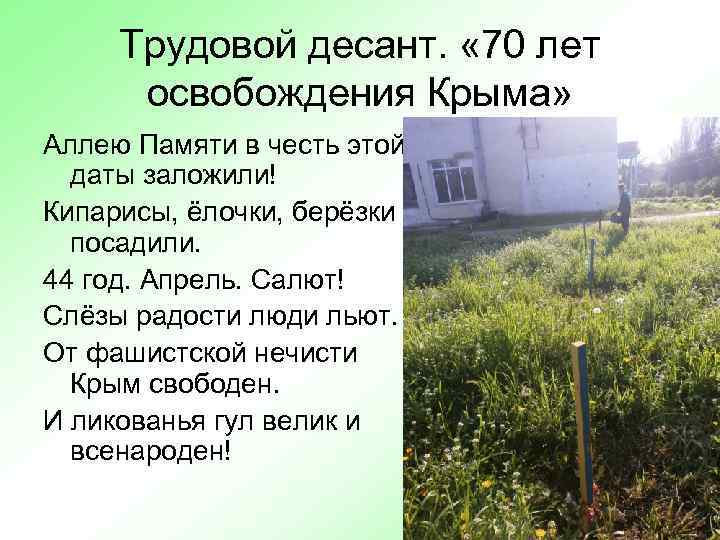 Трудовой десант. « 70 лет освобождения Крыма» Аллею Памяти в честь этой даты заложили!