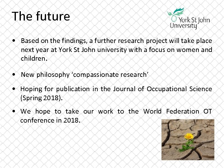 The future • Based on the findings, a further research project will take place