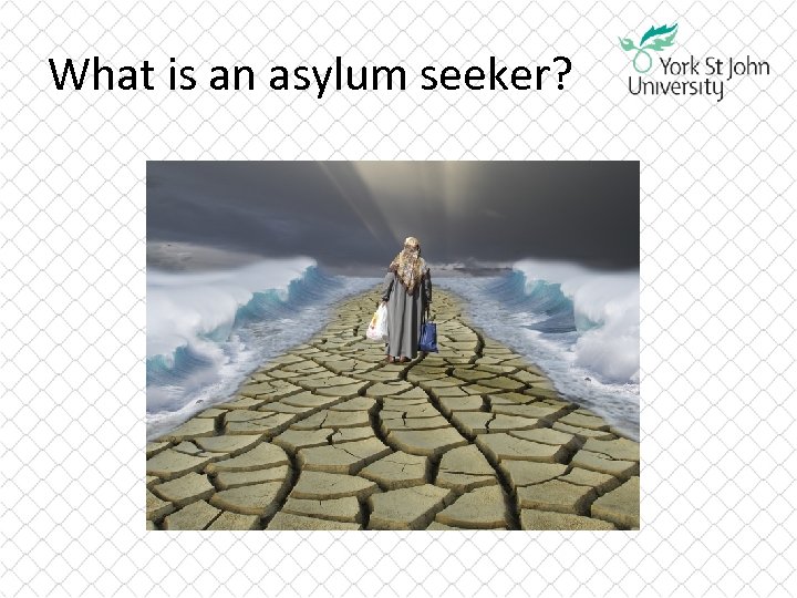 What is an asylum seeker? 
