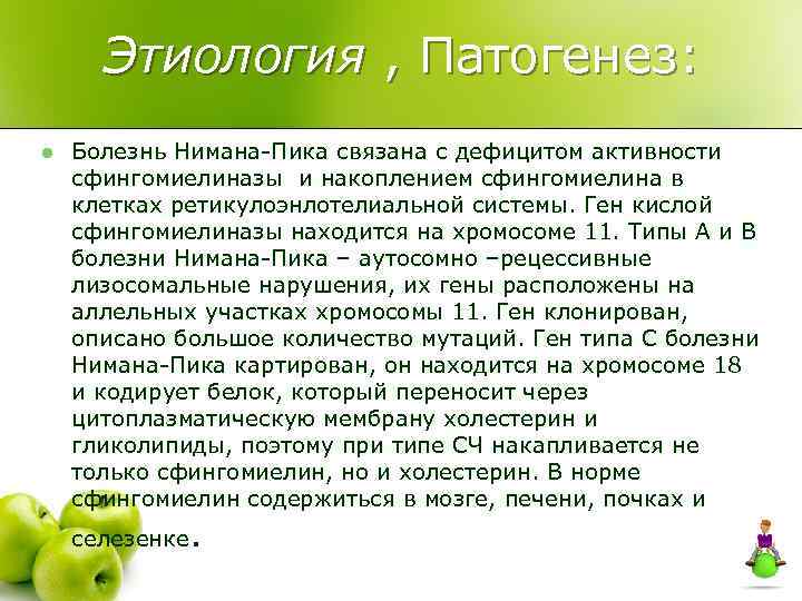 Этиология , Патогенез: l Болезнь Нимана-Пика связана с дефицитом активности сфингомиелиназы и накоплением сфингомиелина