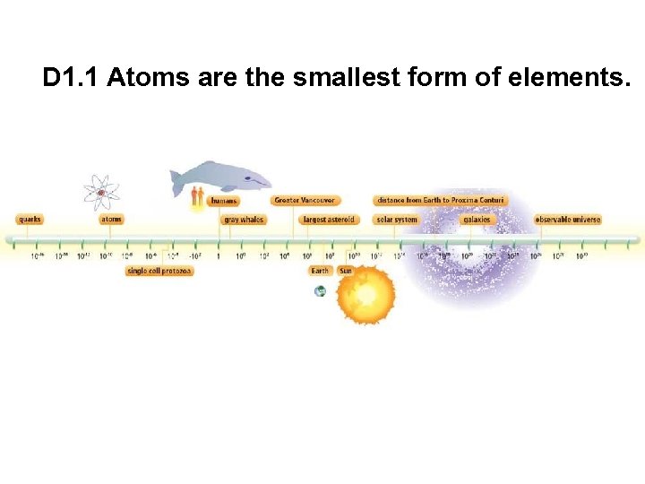 D 1. 1 Atoms are the smallest form of elements. 
