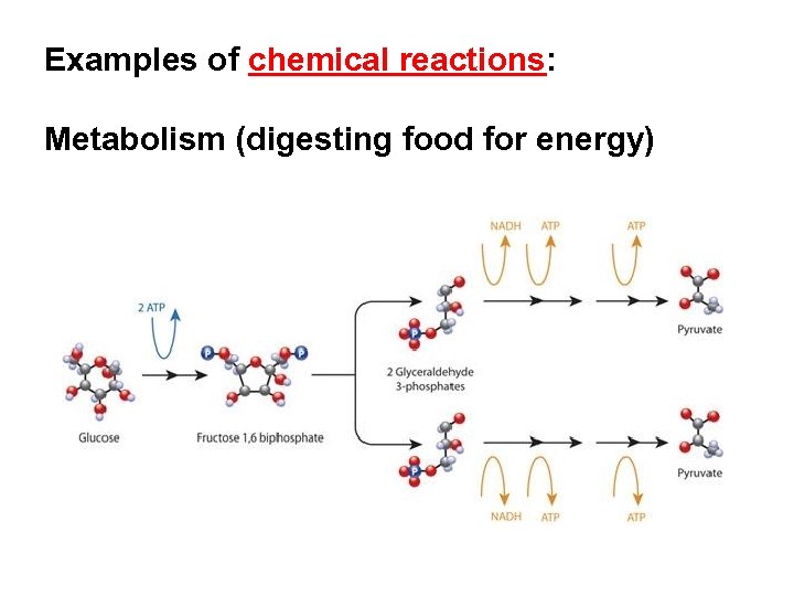 Examples of chemical reactions: Metabolism (digesting food for energy) 
