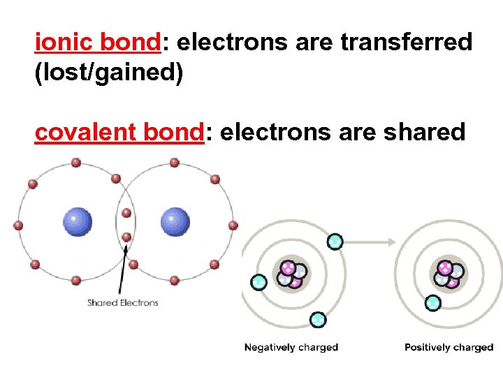 ionic bond: electrons are transferred (lost/gained) covalent bond: electrons are shared 
