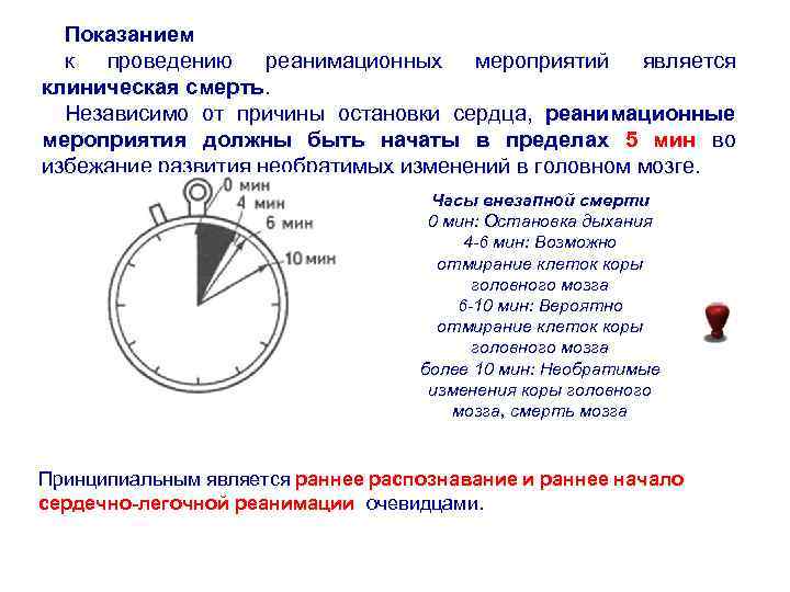 Через сколько времени останавливается. Показания к проведению реанимационных мероприятий. Что является показанием к проведению реанимационных мероприятий. Показанием к проведению реанимационных мероприятий не является:. После остановки сердца необратимые изменения.