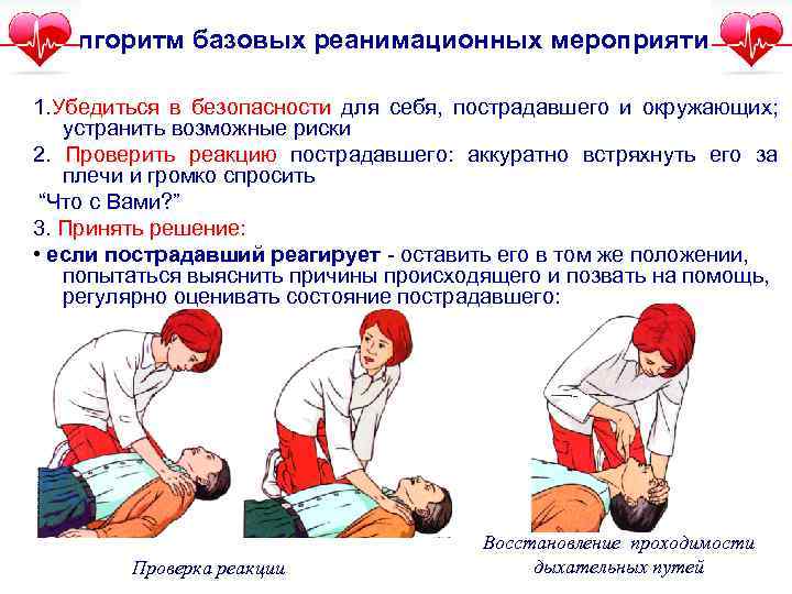 Алгоритм базовых реанимационных мероприятий: 1. Убедиться в безопасности для себя, пострадавшего и окружающих; устранить