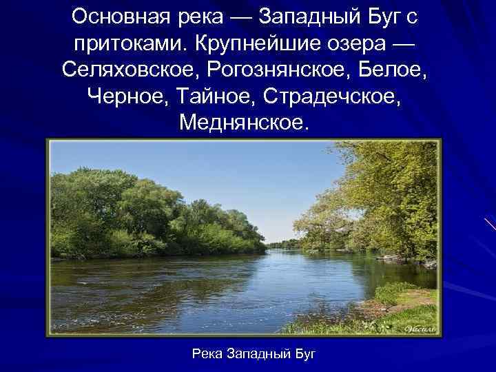 Основная река — Западный Буг с притоками. Крупнейшие озера — Селяховское, Рогознянское, Белое, Черное,