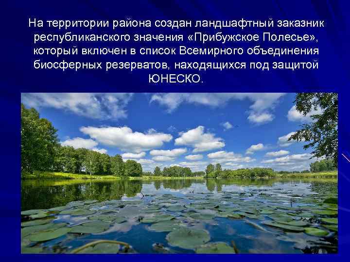 На территории района создан ландшафтный заказник республиканского значения «Прибужское Полесье» , который включен в