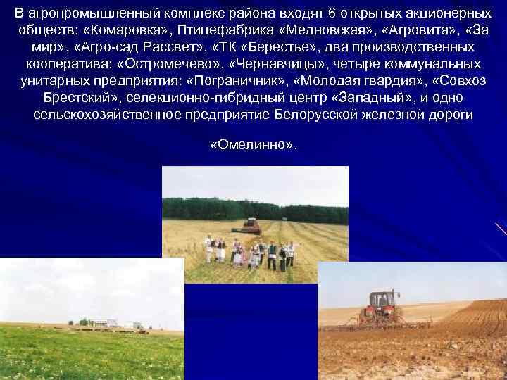 В агропромышленный комплекс района входят 6 открытых акционерных обществ: «Комаровка» , Птицефабрика «Медновская» ,
