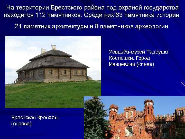 На территории Брестского района под охраной государства находится 112 памятников. Среди них 83 памятника