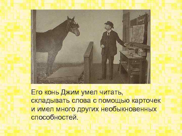 Его конь Джим умел читать, складывать слова с помощью карточек и имел много других