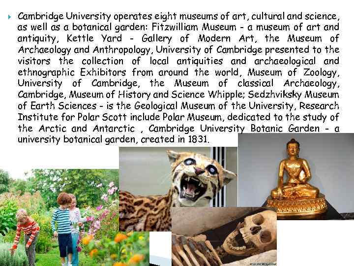  Cambridge University operates eight museums of art, cultural and science, as well as