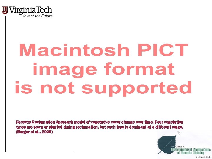 Forestry Reclamation Approach model of vegetative cover change over time. Four vegetation types are