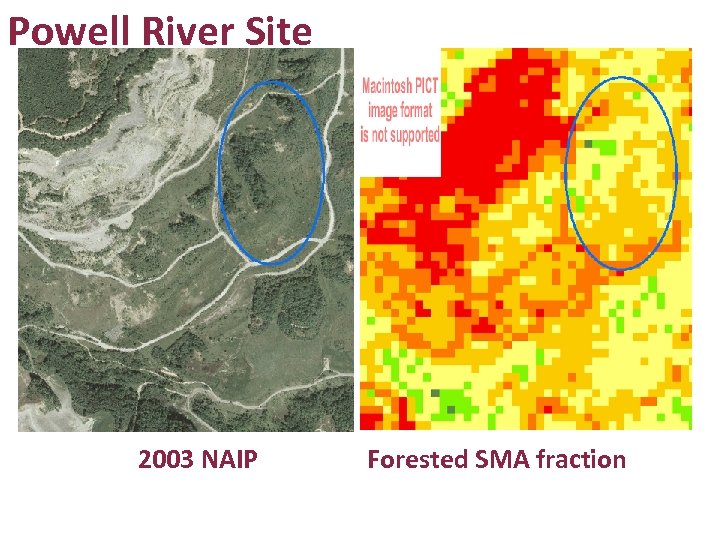 Powell River Site 2003 NAIP Forested SMA fraction 