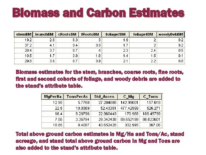 Biomass and Carbon Estimates Biomass estimates for the stem, branches, coarse roots, fine roots,