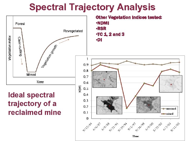 Spectral Trajectory Analysis Other Vegetation Indices tested: • NDMI • RSR • TC 1,