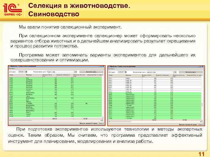 Селекция в животноводстве. Свиноводство Мы ввели понятие селекционный эксперимент. При селекционном эксперименте селекционер может