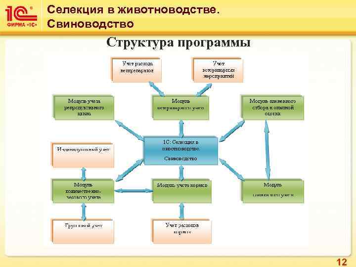 Селекция в животноводстве. Свиноводство Структура программы 12 