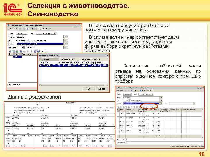 Селекция в животноводстве. Свиноводство В программе предусмотрен быстрый подбор по номеру животного В случае