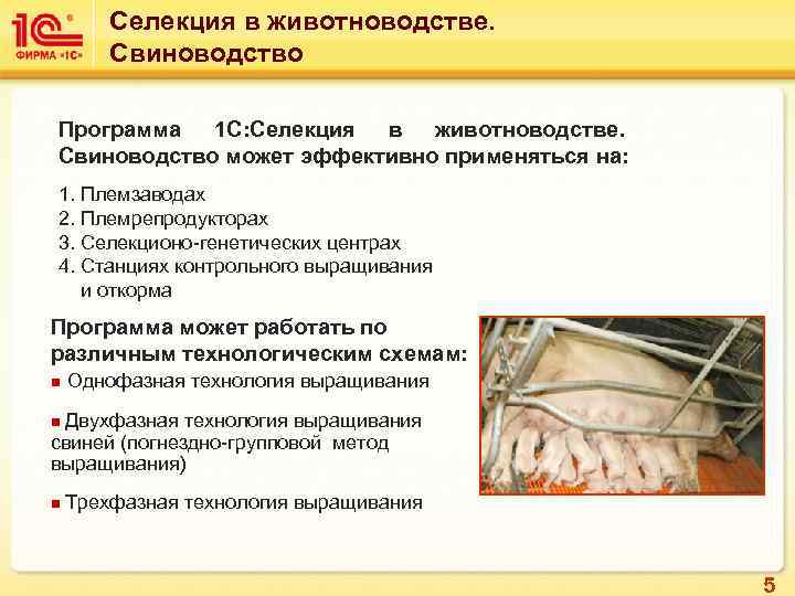 Селекция в животноводстве. Свиноводство Программа 1 С: Селекция в животноводстве. Свиноводство может эффективно применяться