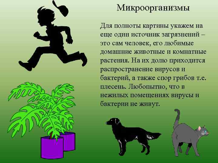 Микроорганизмы Для полноты картины укажем на еще один источник загрязнений – это сам человек,