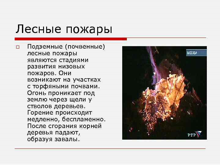 Лесные пожары o Подземные (почвенные) лесные пожары являются стадиями развития низовых пожаров. Они возникают