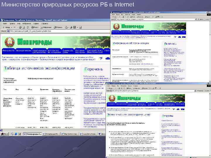 Министерство природных ресурсов РБ в Internet 