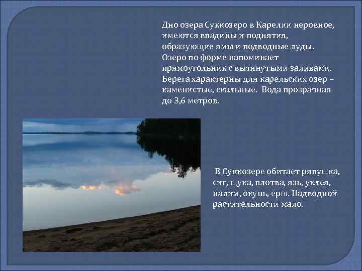 Дно озера Суккозеро в Карелии неровное, имеются впадины и поднятия, образующие ямы и подводные