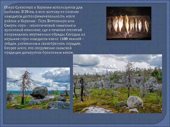 Озеро Суккозеро в Карелии используется для рыбалки. В 20 км. к юго-востоку от поселка