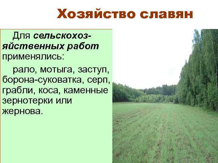 Хозяйство славян Для сельскохоз. Основой хозяйства яйственных работ восточных славян применялись: было пашен-ное земледелие.