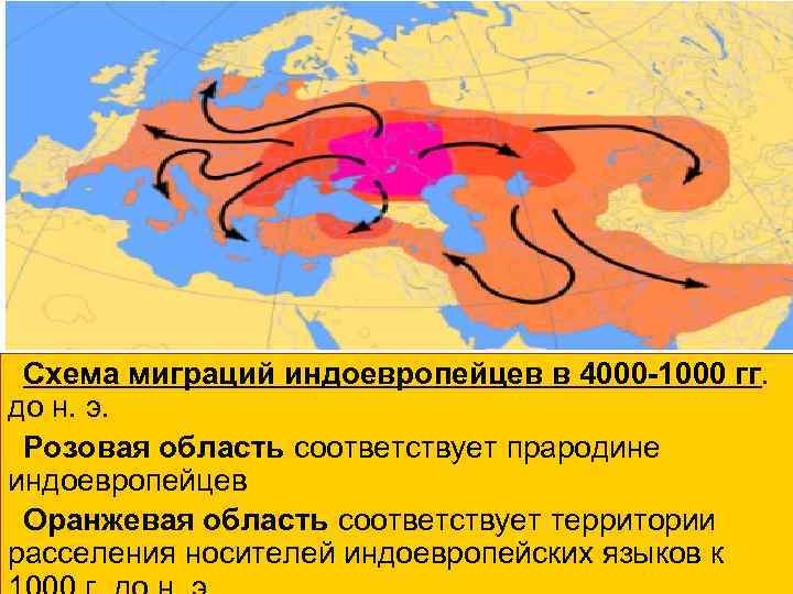 Схема миграций индоевропейцев в 4000 -1000 гг. до н. э. Розовая область соответствует прародине