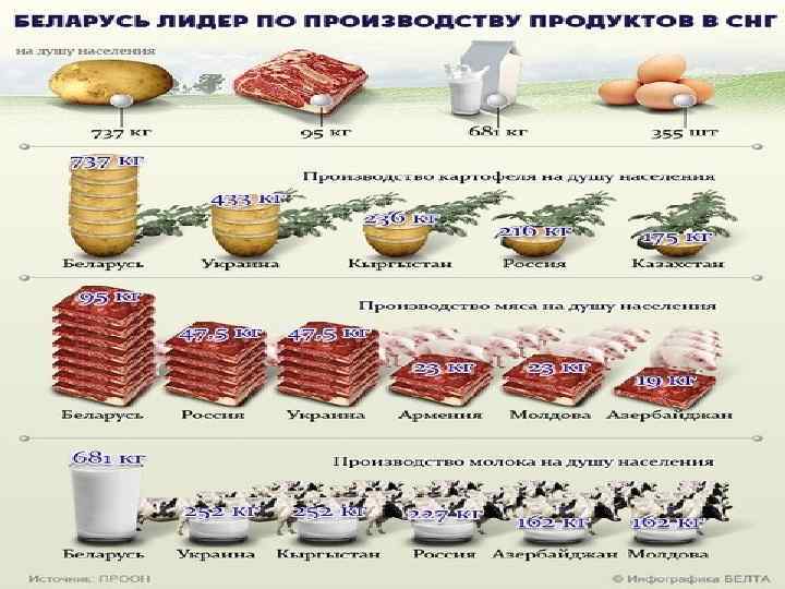 Какие продукты производит. Беларусь Лидер по производству продуктов. Лидеры по производству продуктов питания. В производстве пищевой промышленности лидирует. Продукты промышленности 2 класс.