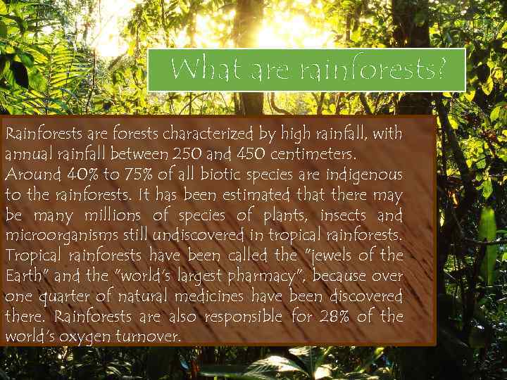 What are rainforests? Rainforests are forests characterized by high rainfall, with annual rainfall between