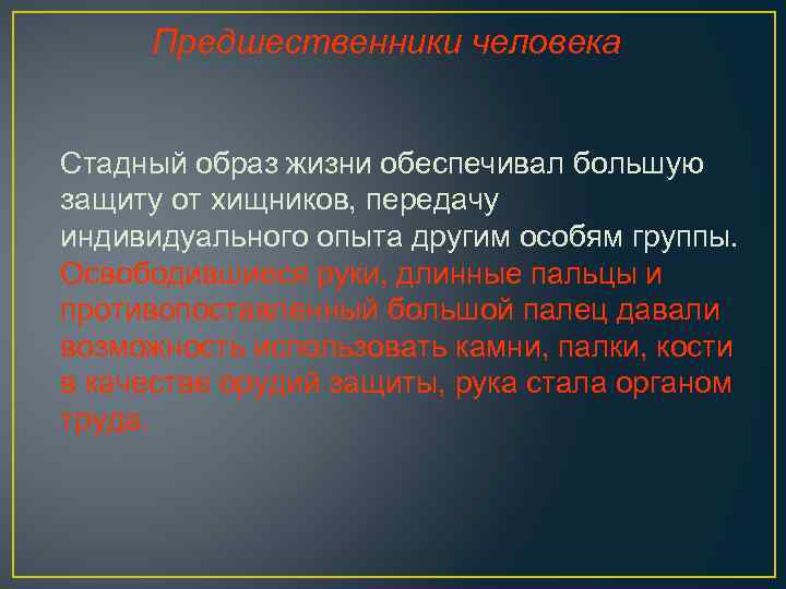 Предшественники человека Стадный образ жизни обеспечивал большую защиту от хищников, передачу индивидуального опыта другим