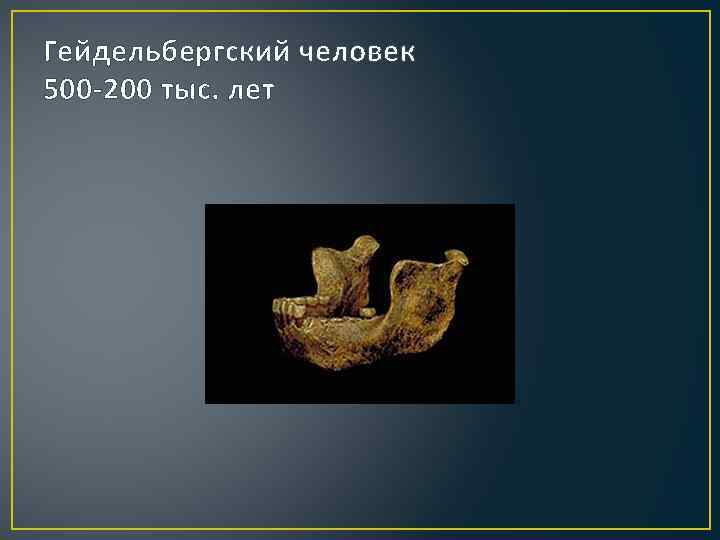 Гейдельбергский человек 500 -200 тыс. лет 