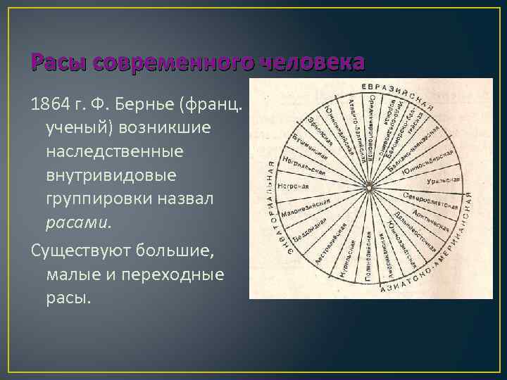 Расы современного человека 1864 г. Ф. Бернье (франц. ученый) возникшие наследственные внутривидовые группировки назвал