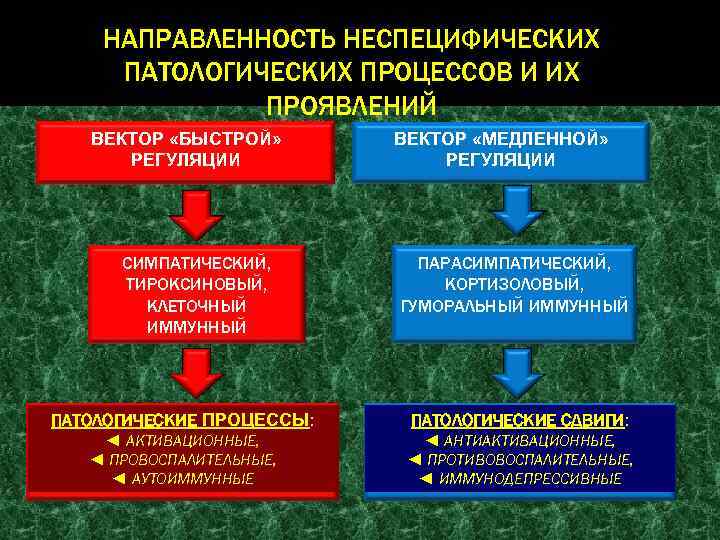 Холистическая медицина это. Холистическая медицина. Холистическое лечение. Холистическая медицина картинки. Холистическая терапия.