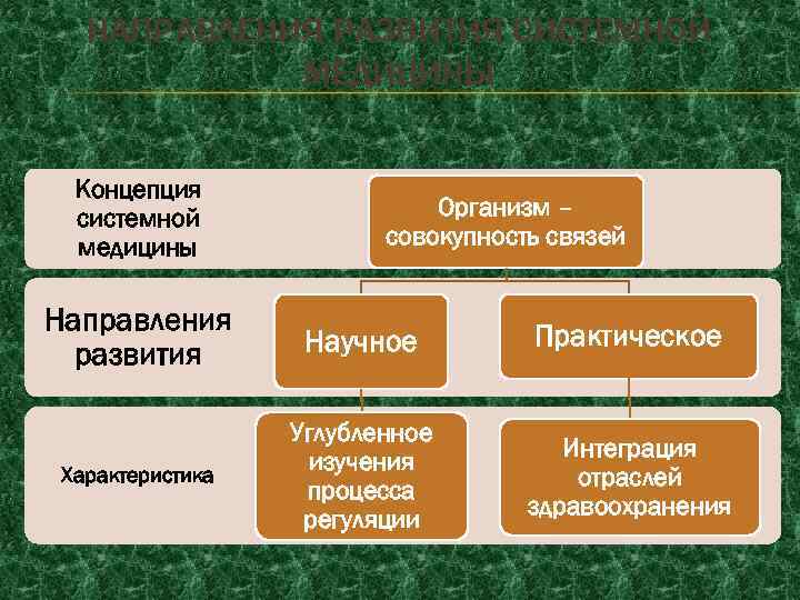 НАПРАВЛЕНИЯ РАЗВИТИЯ СИСТЕМНОЙ МЕДИЦИНЫ Концепция системной медицины Организм – совокупность связей Направления развития Научное