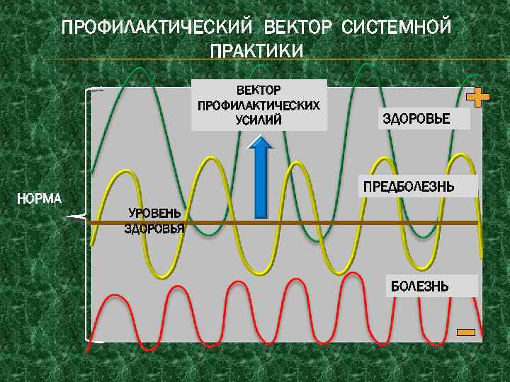 ПРОФИЛАКТИЧЕСКИЙ ВЕКТОР СИСТЕМНОЙ ПРАКТИКИ ВЕКТОР ПРОФИЛАКТИЧЕСКИХ УСИЛИЙ НОРМА ЗДОРОВЬЕ ПРЕДБОЛЕЗНЬ УРОВЕНЬ ЗДОРОВЬЯ БОЛЕЗНЬ 