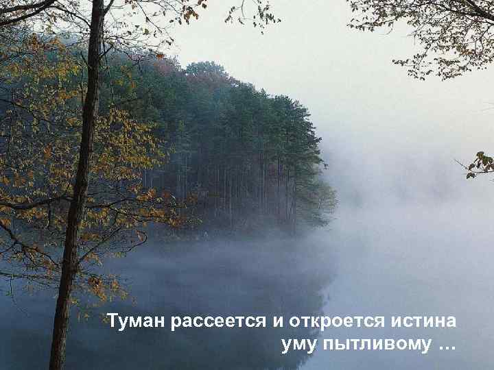 Туман рассеется и откроется истина уму пытливому … 
