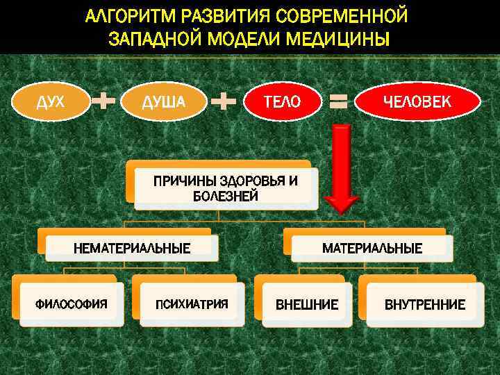 АЛГОРИТМ РАЗВИТИЯ СОВРЕМЕННОЙ ЗАПАДНОЙ МОДЕЛИ МЕДИЦИНЫ ДУХ ДУША ТЕЛО ЧЕЛОВЕК ПРИЧИНЫ ЗДОРОВЬЯ И БОЛЕЗНЕЙ