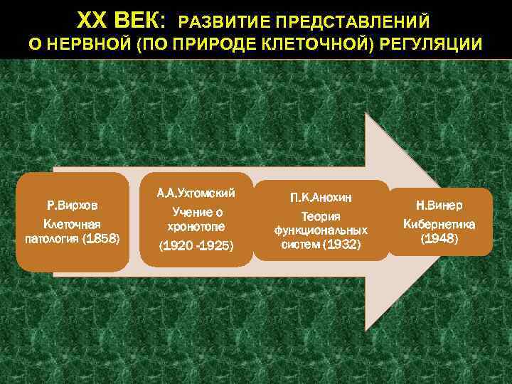 ХХ ВЕК: РАЗВИТИЕ ПРЕДСТАВЛЕНИЙ О НЕРВНОЙ (ПО ПРИРОДЕ КЛЕТОЧНОЙ) РЕГУЛЯЦИИ Р. Вирхов Клеточная патология