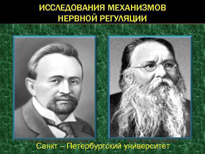 ИССЛЕДОВАНИЯ МЕХАНИЗМОВ НЕРВНОЙ РЕГУЛЯЦИИ Н. Е. ВВЕДЕНСКИЙ А. А. УТОМСКИЙ Санкт – Петербургский университет