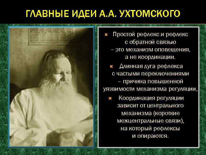 ГЛАВНЫЕ ИДЕИ А. А. УХТОМСКОГО Простой рефлекс и рефлекс с обратной связью – это