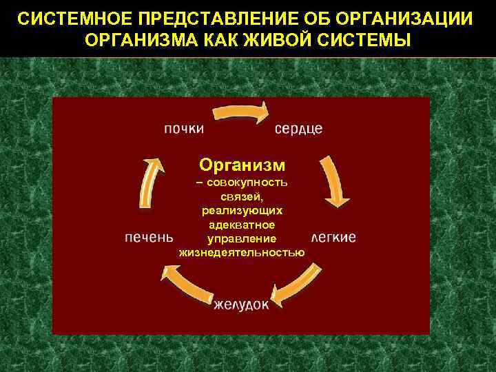 Системное представление